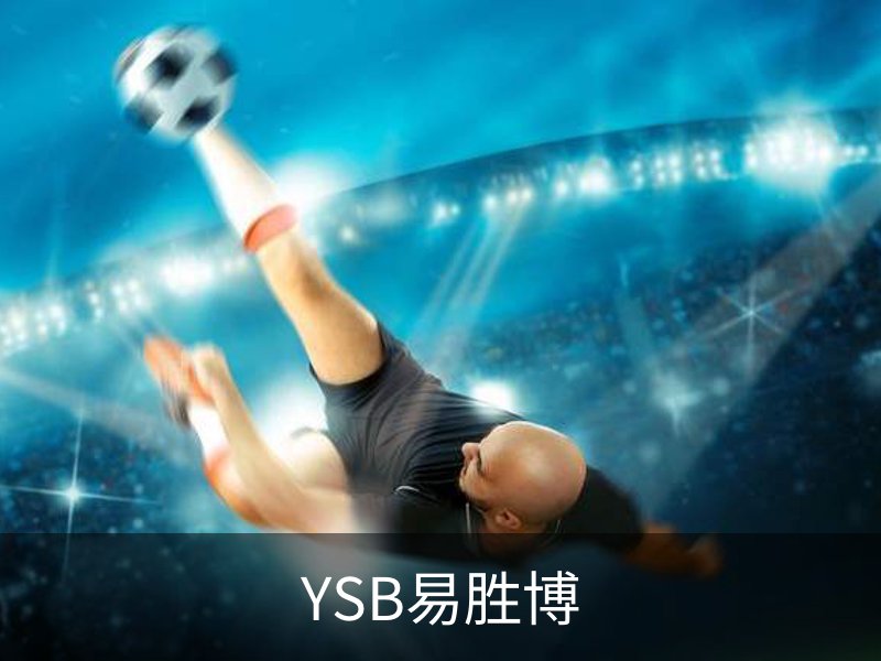 YSB易胜博简介